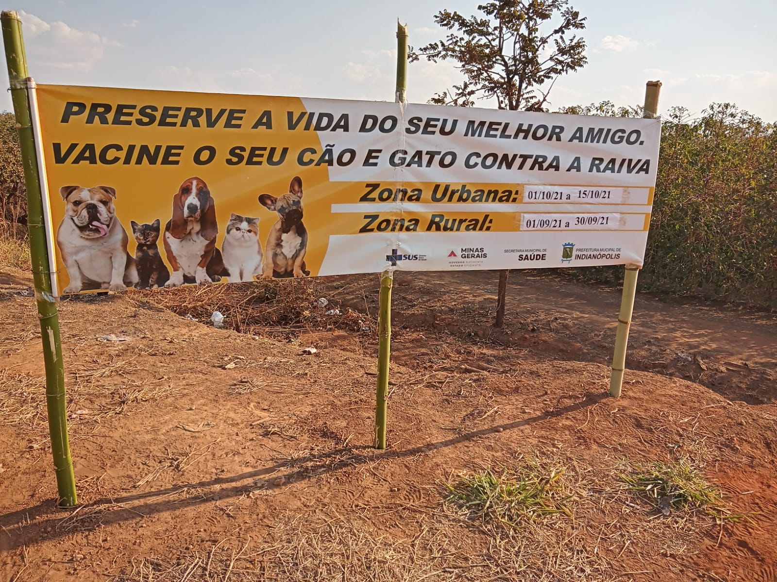 Começa no dia 1º de setembro a vacinação antirrábica em Indianópolis