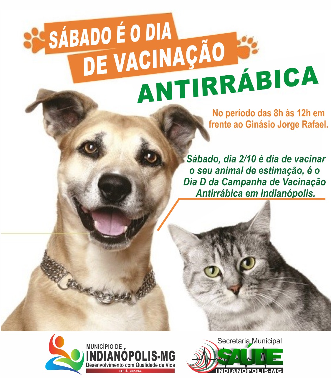 Sábado tem Dia D de vacinação antirrábica em Indianópolis