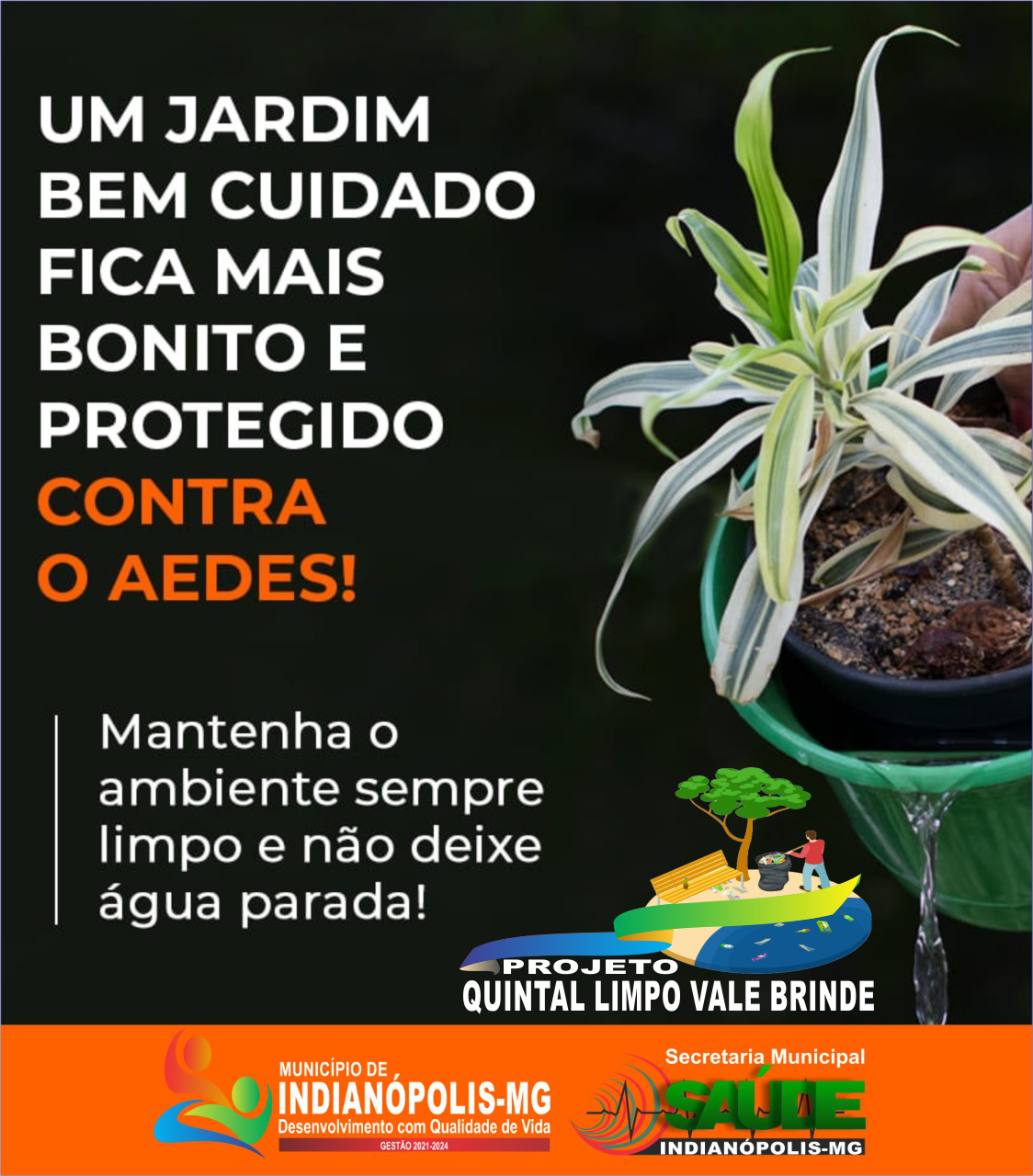 CONTINUE PARTICIPANDO DO PROJETO QUINTAL LIMPO
