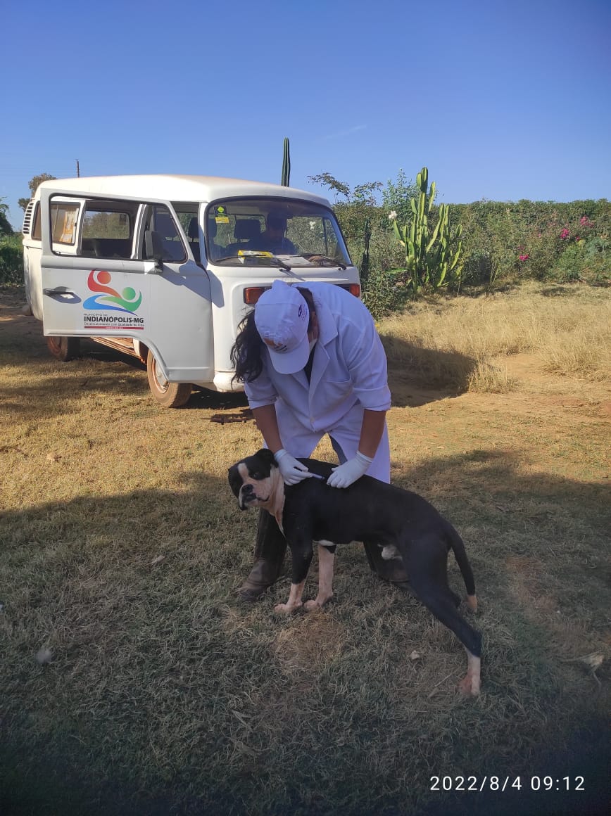 Vacinação antirrábica na zona rural em Indianópolis