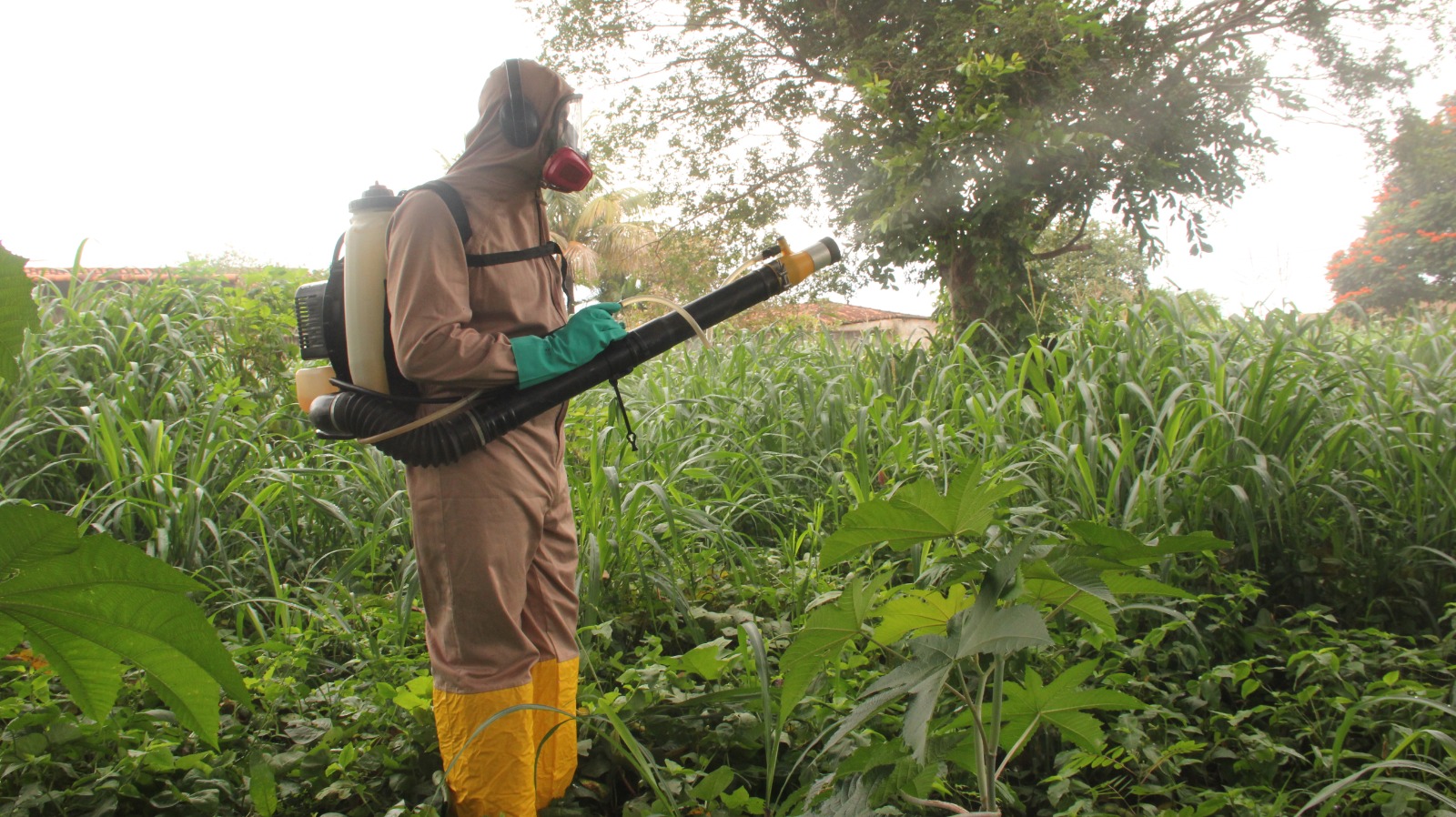 PREFEITURA ADQUIRE PRODUTO PARA COMBATER MOSQUITO DA DENGUE