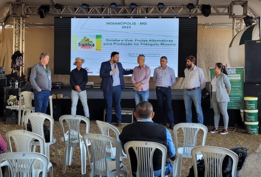 RODOVIA PREFEITO WALDEMAR MAGALHÃES TERÁ OBRA DE RECAPEAMENTO