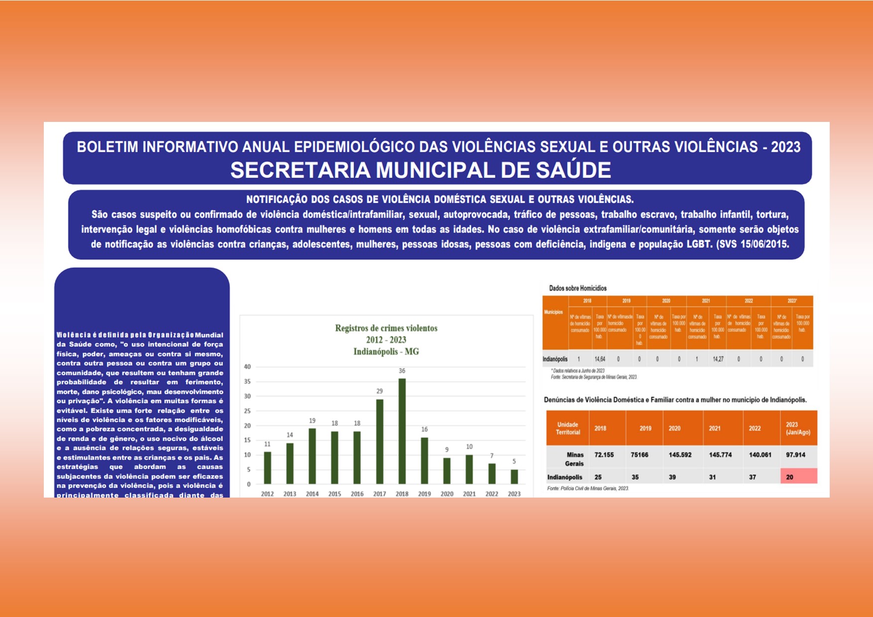 BOLETIM INFORMATIVO ANUAL EPIDEMIOLÓGICO DAS VIOLÊNCIAS SEXUAL E OUTRAS VIOLÊNCIAS – 2023