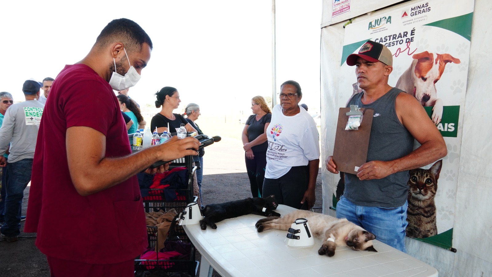 Prefeitura de Indianópolis realiza nova ação de castração e microchipagem de cães e gatos