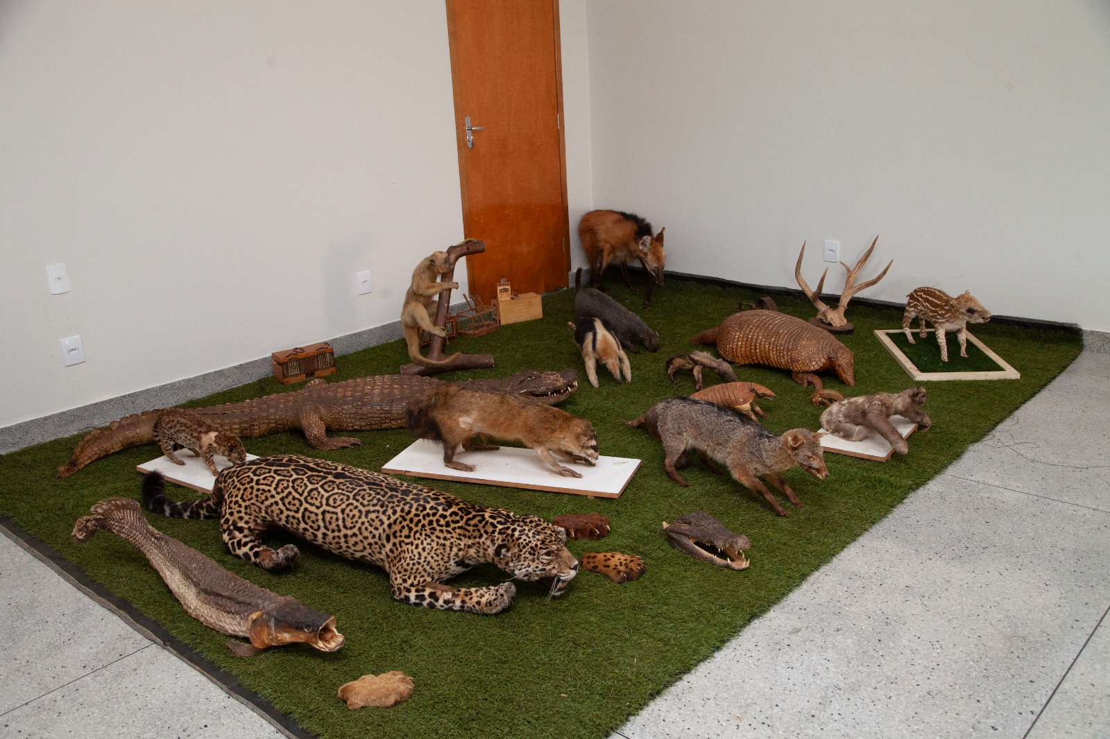 WhatsApp Image 2025-06-03 at 18.00.55 (1)