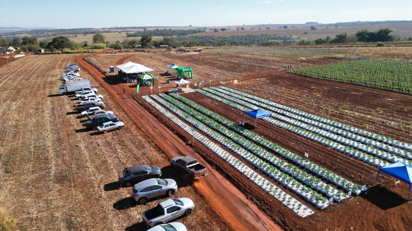 WhatsApp Image 2025-07-21 at 15.05.27 (1)