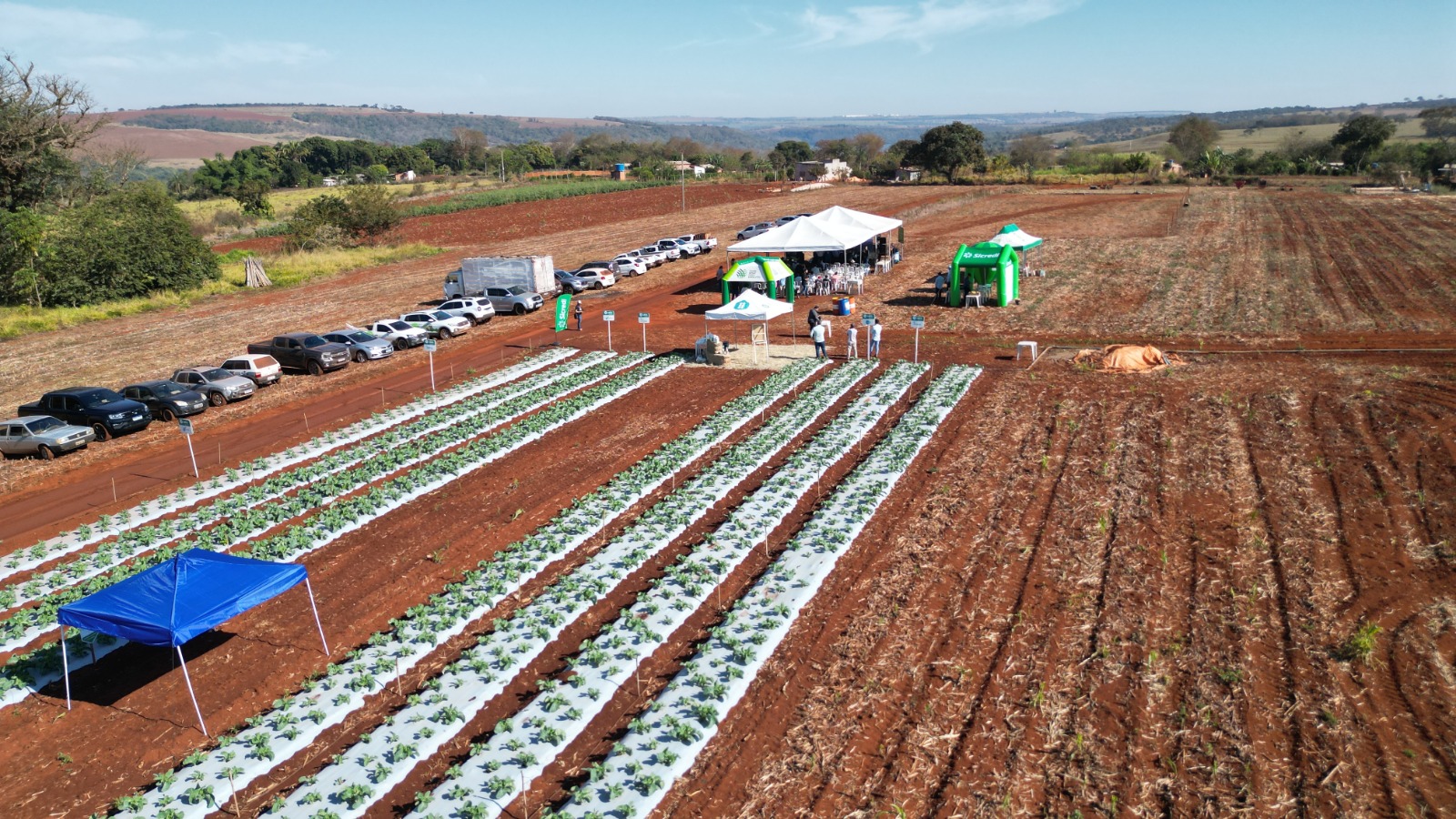 WhatsApp Image 2025-07-21 at 15.05.27