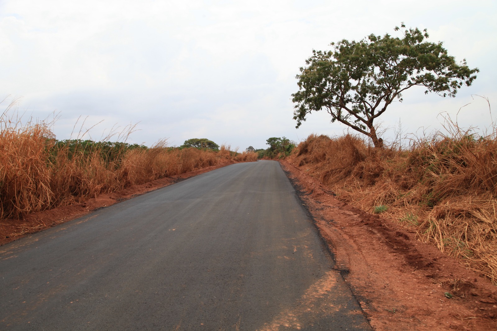 WhatsApp Image 2025-09-22 at 13.07.53