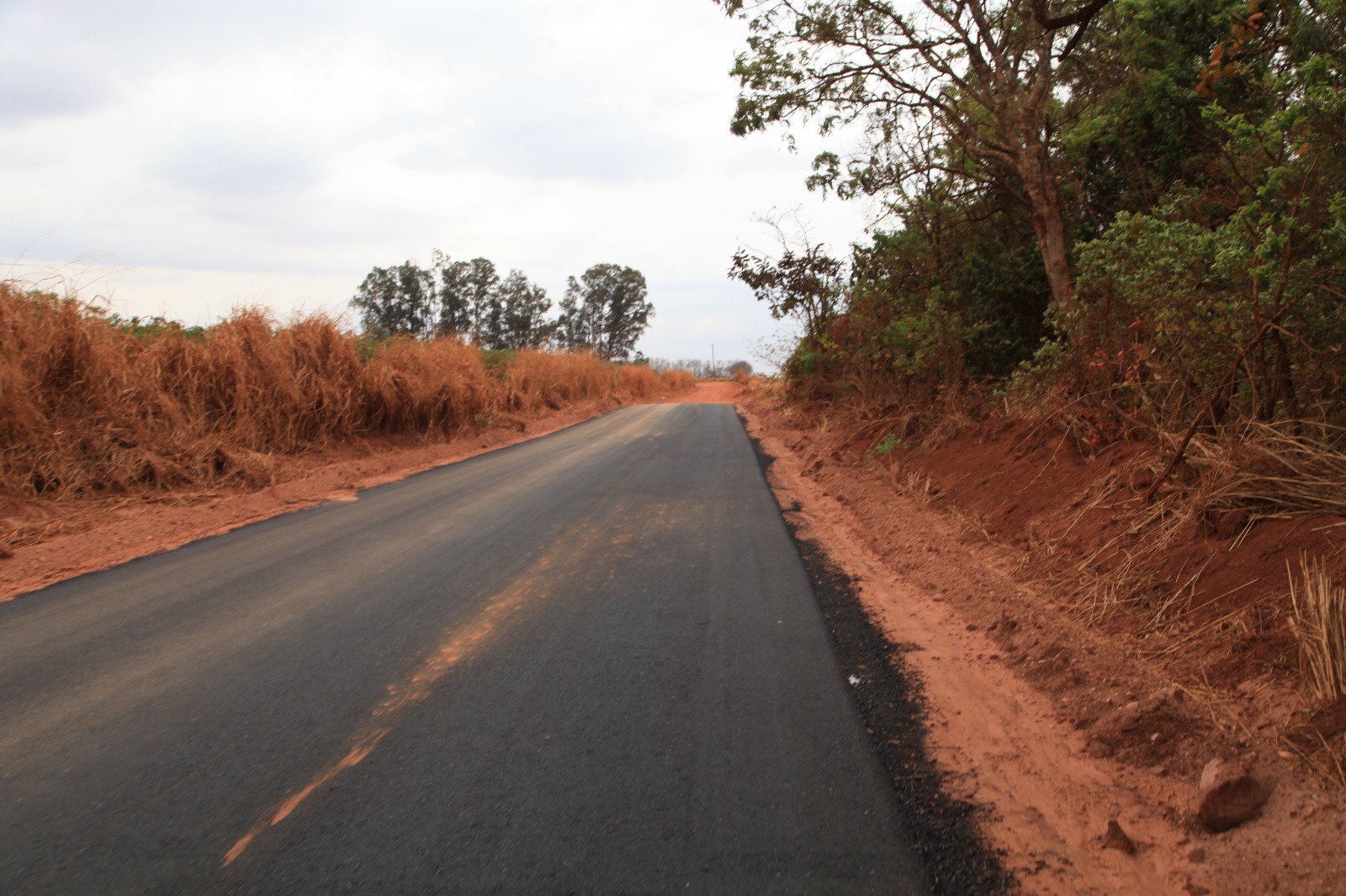 WhatsApp Image 2025-09-22 at 13.07.55