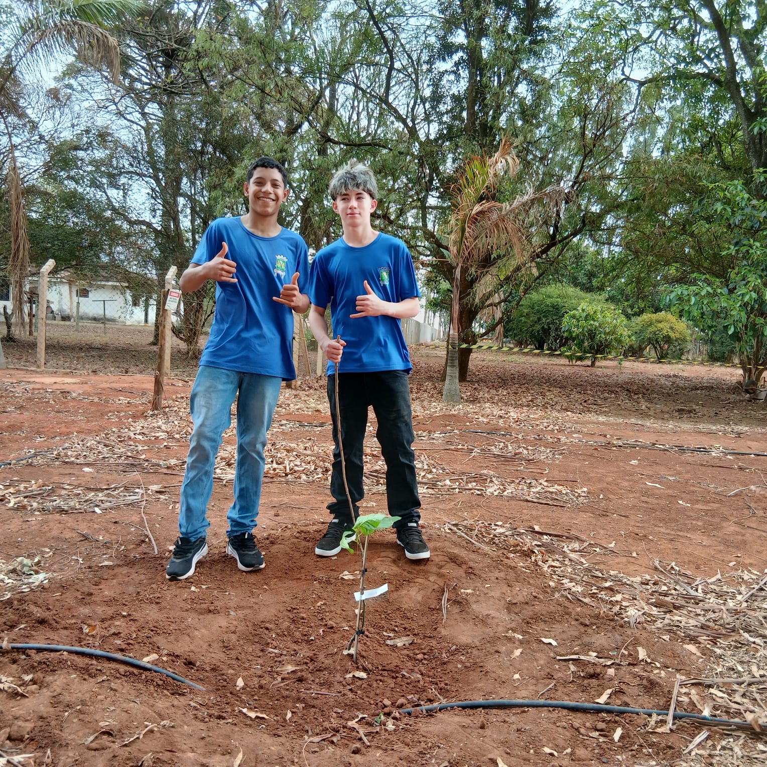 WhatsApp Image 2025-09-26 at 19.13.42