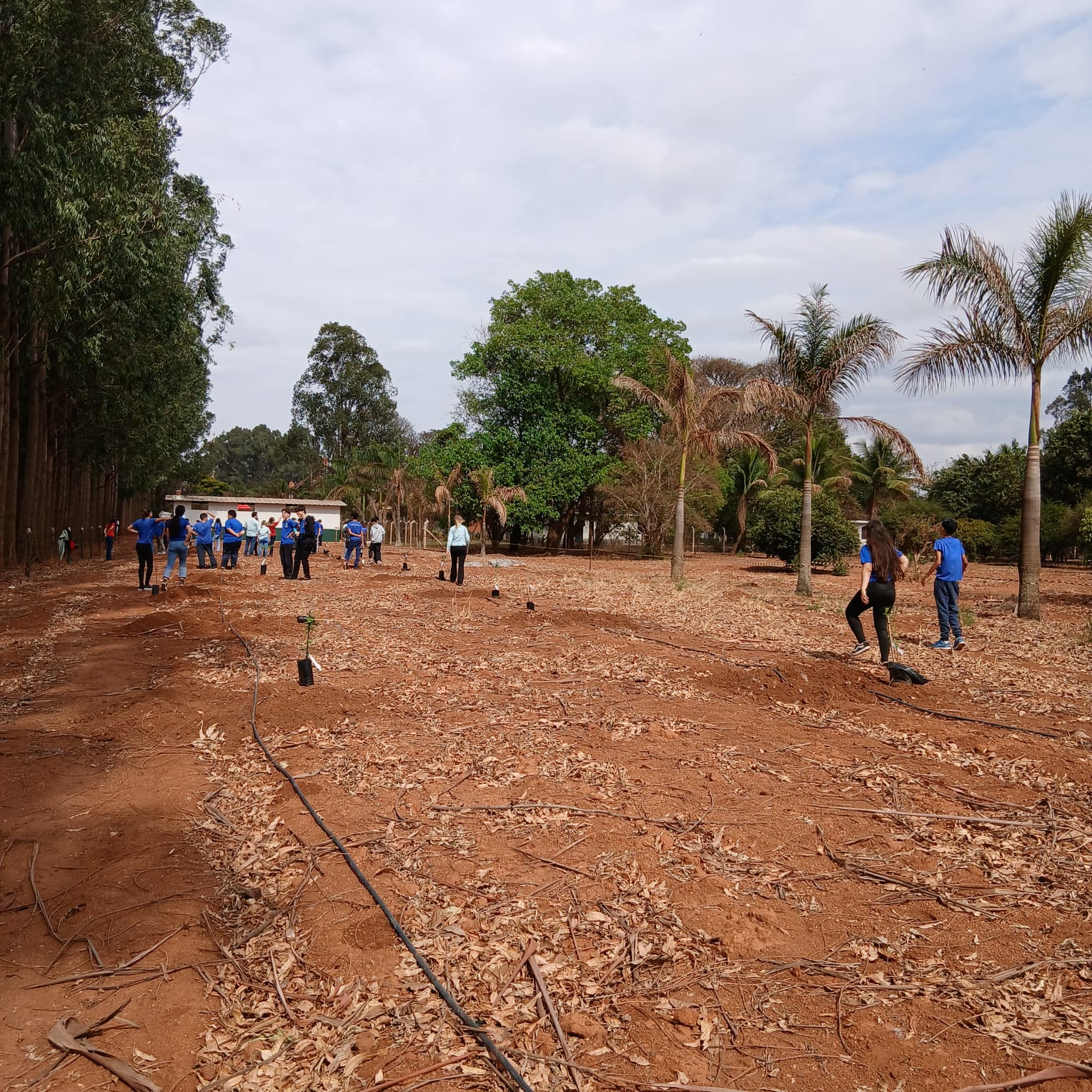 WhatsApp Image 2025-09-26 at 19.13.44 (1)