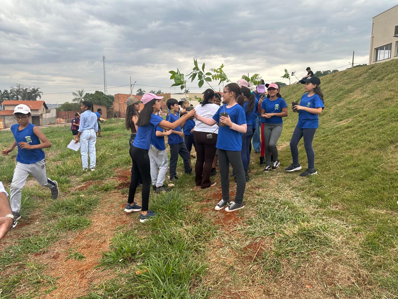 2833cf20-87ec-48e1-852d-11f54088693f