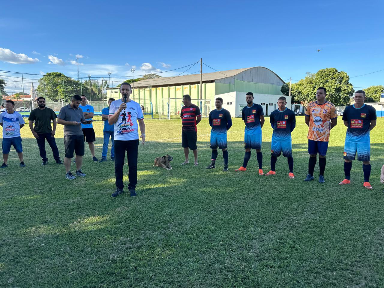 Sem título-2
