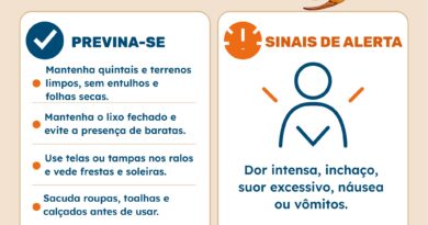 Prefeitura de Indianópolis alerta sobre cuidados para prevenir acidentes com escorpiões