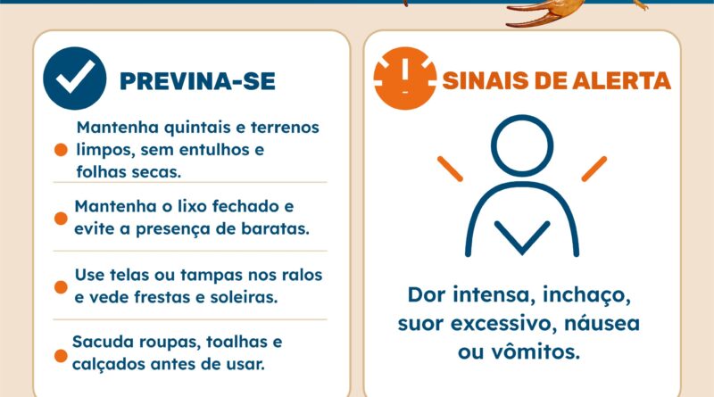 Prefeitura de Indianópolis alerta sobre cuidados para prevenir acidentes com escorpiões